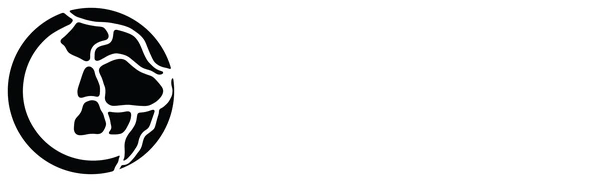 PNP TUNE Powersports